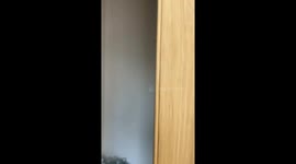 Feline paradise: Simba's ultimate vacation spot atop the door!