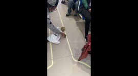 Montreal Man Feeds Pet Rat On Subway