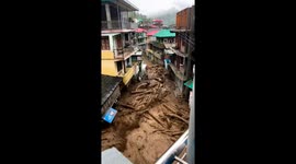 Watch moment landslide sweeps away trees in northern India after heavy rain