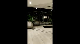 Small Dog Struggles to Find Open Door