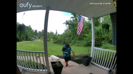 Amazon Delivery Person Pets Friendly Golden Retriever