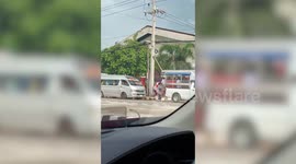 Terrified driver and passenger screams as snake emerges on car windscreen