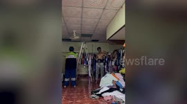 Massive python pulled from family's home after rescuers hammered through the wall