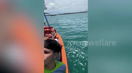 Fishermen rescue cat swimming in the sea after leaping from passing boat
