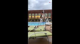 Man hilariously falls from the life guard chair after its step breaks