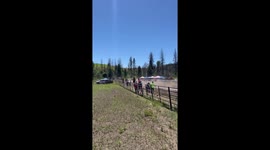 Dust Devil Crashes Horse Race