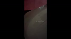 Dog Scratches Its Backside on Wall