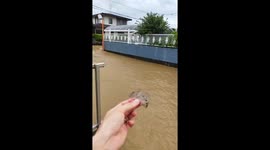Torrential rain triggers devastating floods: witness captures stunning video of Kurume City's deluge