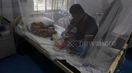 In Bangladesh, the Aedes mosquito-borne disease Dengue is at a critical stage