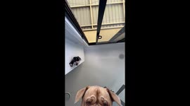 POV Of A Tasty Snack