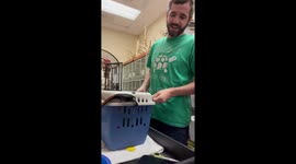 Man Has Fun Conversation With Parrot