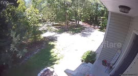 Child Bangs on Security Camera  With Pool Net