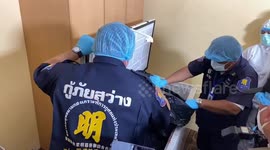German real estate tycoon chopped into pieces with chainsaw and stuffed inside freezer in Thailand