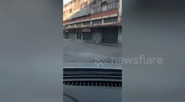 Dozens of wild monkeys take over streets in Thai city