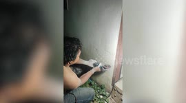 Kind resident cuts hole in his home's wall to save trapped kittens