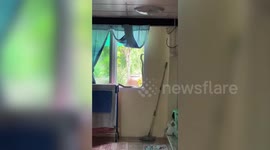 Large python slithers onto family's window sill before making a quick escape