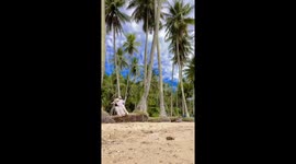 Swinging mishap on Nirwana beach: laughter-filled tumble takes center stage