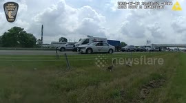 Ohio police forced to stop traffic on a busy highway to escort a gaggle of geese