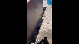 Dumpster Diving Squirrel Needs Some Assistance