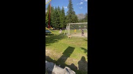 Dog Scores A Goal With Himself
