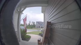 Snake Wants Inside Your House