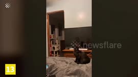 If You're Having a Bad Day, Watch this! #1