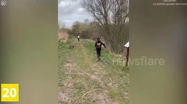 Top 20 Evil Bird Moments Caught On Camera