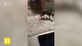 The Future Is Here! The Coolest & Strangest Gadgets