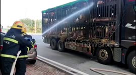 Firefighters deploy water hose to cool hundred of pigs suffering from heatstroke on Chinese highway