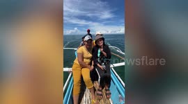 Just when you thought you saw everyfin! Flying fish snatches woman's phone