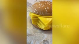 Burger King releases cheeseburger with only CHEESE and no meat (vertical)