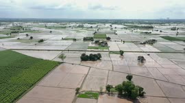 Scale of flooding in north India revealed in drone footage as fields and houses left submerged