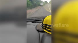 Baby python slithers along windscreen of moving car as frantic driver rushes to remove it