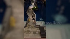 Shocking moment 'rude' tourist washes dirty slippers in hotel pool