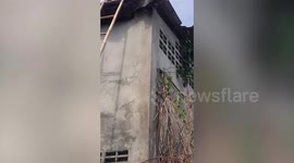Kind computer technician uses 25ft-tall bamboo ladder to save cat trapped on roof