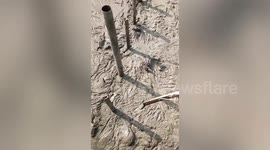 Kind worker saves two birds trapped in wet cement on building roof