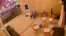 Skunk Surprises Woman on Patio