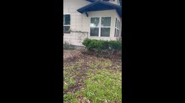 Pet cat helps the kids with Easter egg hunt *Wholesome moment*