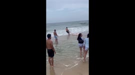 Man attempts to drag lifeless shark back into ocean on Maryland beach