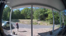 Bulldog Viscously Attacks Dogs and Their Owner