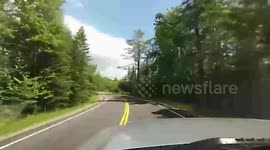 16 Scary Close Call Moments That Will Leave You On The Edge of your Seat