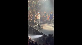 Fan wrestled to ground after invading stage during Blink 182 show in Florida