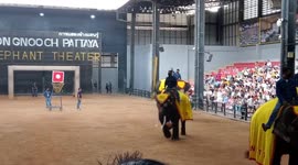 These cute little elephants perform at a show at Nong Nooch Garden, outside Pattaya, Thailand