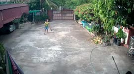 Pet cat chases away snake slithering towards terrified mother and daughter