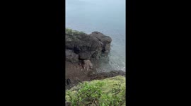 Clumsy man slips from rocks while out fishing *Hilarious Fail*