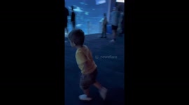 Aquarium Plexiglass Bonks Excited Guest
