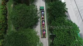 China's booming NEV market provides opportunities for foreign automakers
