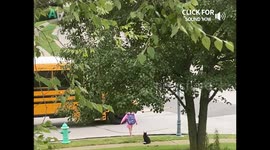 Pets Doing the School Run