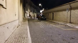 Group of Deer on a Nighttime Promenade