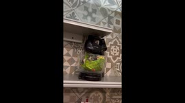 The Best Parrot Cake Recipe